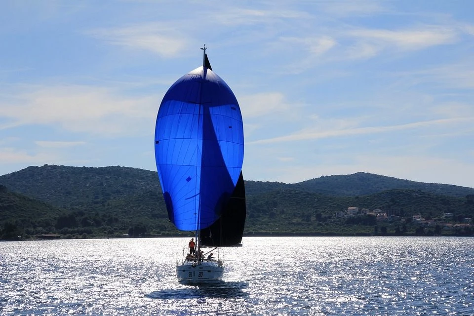 Sailboats at sea
