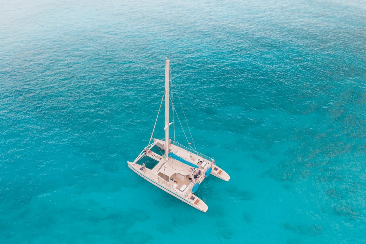 sailboat catamaran sail the seas