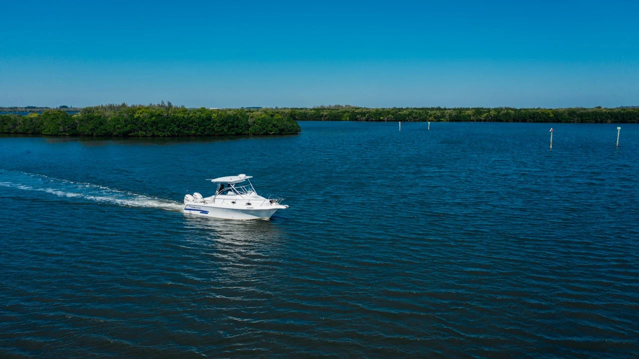 Yachts sail the seas