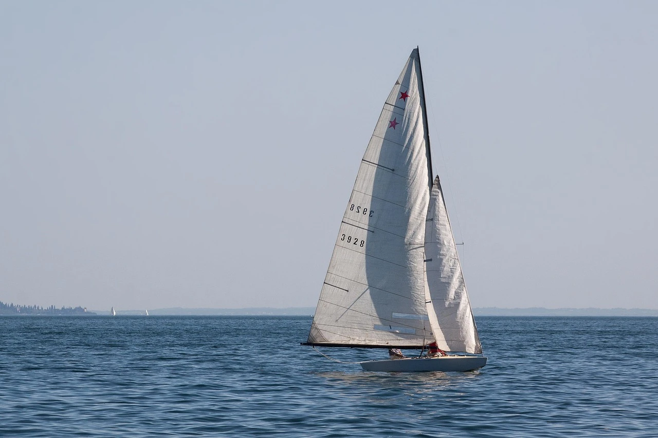 Sailboats on the sea