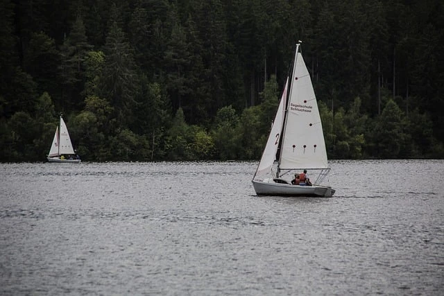 Sailboats on the water