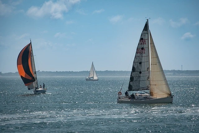 Sailboats on the water