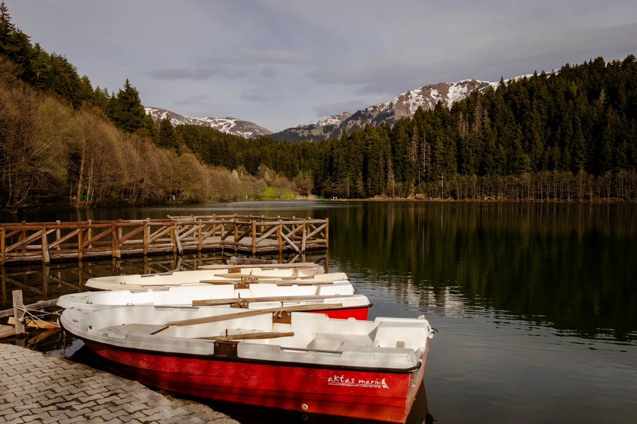 Jon boat moored at the dock