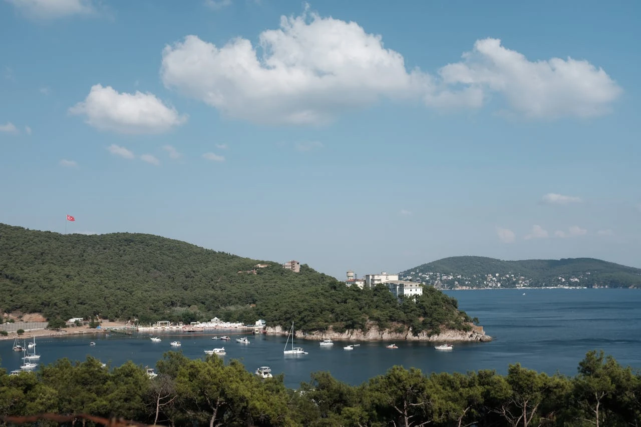 Sailboats on the sea